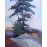 R Godden, coloured pastels, fir tree, 16" x 13", framed