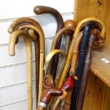 Various walking sticks