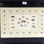 A framed collection of fishing flies, 59cm overall