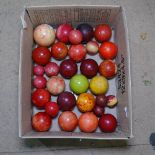 A quantity of stained ivory snooker balls, Approx 30