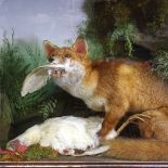 Taxidermy, a fox and chicken in glazed display case, with naturalistic surround, length 75cm