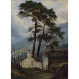 Joseph Barnes, oil on canvas, firs near Bettws, 1886, signed, 16" x 12", framed