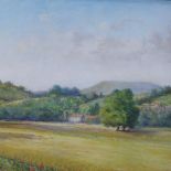 Pair of coloured pastels, extensive landscapes, indistinctly signed, 13" x 17.5", framed