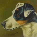 J A Wheeler, oil on canvas laid on board, portrait of a Jack Russell, signed, 9.5" x 13", unframed