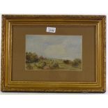 Eleanor Brown, watercolour, view of Udimore Sussex, circa 1880, unsigned, 6" x 10", framed