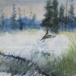 Francis Golden (American 1916 - 2018), watercolour, duck in flight, signed, 13" x 17", framed