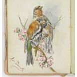 Album of drawings and watercolours, circa 1900