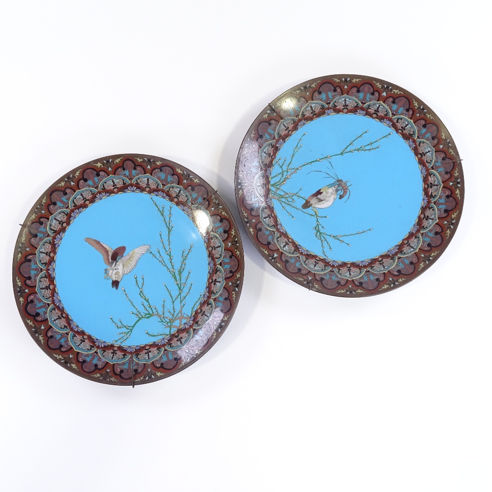 A pair of Japanese cloisonne enamel plates decorated with birds and their catch, diameter 30cm - Image 2 of 3