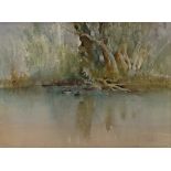 Ian Armour-Chelu, watercolour, ducks on a pond, signed, 9.5" x 13", framed