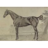 18th/19th century monochrome watercolour, portrait of a mare, artist's Studio stamp TEL, 8" x 12",