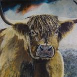 Clive Fredriksson, oil on canvas, Highland cow, 40" x 40", unframed