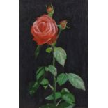 Oil on copper, red rose, signed with monogram, 10" x 6", framed