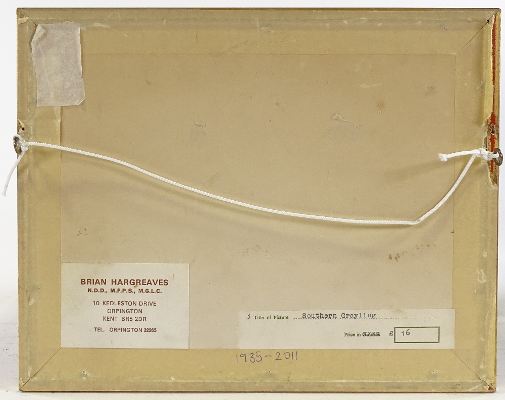 Brian Hargreaves (1935 - 2011), watercolour, study of a Southern Grayling butterfly, signed and - Image 4 of 4
