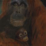 D Hardie, coloured pastels, monkeys, 15" x 11", framed
