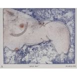 Michael B White, coloured etching, vague dame, signed in pencil, no. 2/5, plate size 9" x 12",