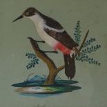 A pair of 19th century watercolours with applied bird's feathers, studies of exotic birds, 9.5" x