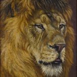Frederick Thomas Daws (1878 - 1956), oil on canvas, study of a lion, signed, 30" x 20", framed