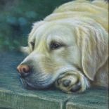 Jack Morgan, oil on canvas, Golden Retriever, signed, 24" x 20", framed