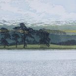 Phil Greenwood, colour etching, pine water, signed in pencil, 1982, printer's proof, plate 11.5" x