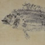 Mid-20th century Japanese School, pair of monoprints of fish, largest 16" x 29", framed