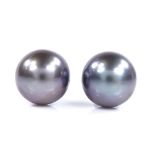 A pair of 18ct white gold black pearl earrings, with stud fittings, pearl diameter 10.5mm, 5.3g