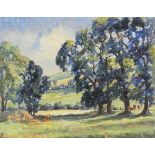 Betty Leney, oil on board, elm trees Kingston Sussex, signed, 16" x 20", framed