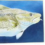 Clive Fredriksson, oil on canvas, North Sea cod, 20" x 48"