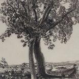 Eleanor Hughes, engraving, tree, signed in pencil, plate size 10" x 10", framed