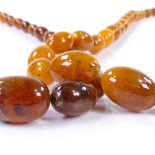 2 strings of graduated amber beads, both 74cm (2)