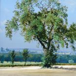 Peter Newcombe (born 1943), oil on board, ash tree in a stubble field, 1999, 9" x 8", framed