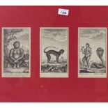 Javanese/French School circa 18th century, 3 ink drawings, image 6.5" x 4" each, mounted in common