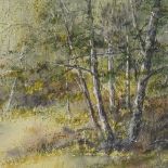 Joyce Mitchell, watercolour, woodland scene, 12" x 16.5", framed
