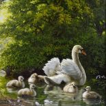 † Daniel Van Der Putten, oil on panel, swans and cygnets on Fawsley Lake, 7.5" x 9.5", framed