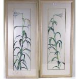 Pair of watercolours, lilies, unsigned, 32" x 9", framed