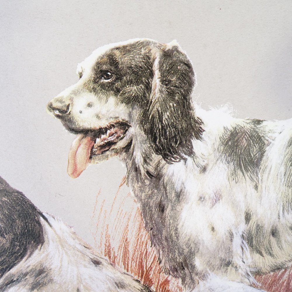 Spencer Roberts, colour print, Spaniels, signed in pencil, no. 8/500, sheet size 19" x 27", unframed - Image 4 of 4