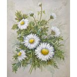 Joan Campbell, 5 oils on board, botanical studies, largest 10" x 8", framed (5)