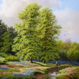 † Daniel Van Der Putten, oil on panel, bluebells in Badby Wood, 10.5" x 14", framed