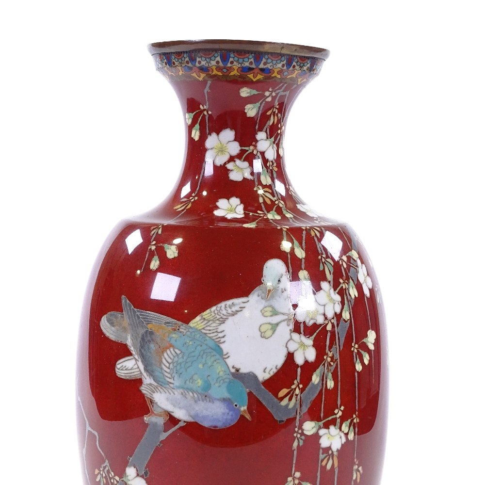 A Japanese cloisonne enamel red ground vase, with detailed exotic bird decoration, height 37cm