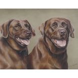 Karen Herbert, coloured pastel, portrait of 2 Labradors, 15.5" x 23", framed