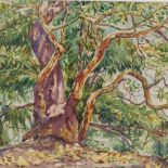 Arthur Pitts (Canadian 1889 -1972), watercolour, trees on coast, signed and dated 1931, 9" x 14",