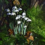 Peter Newcombe (born 1943), oil on board, snowdrops, 1995, 12" x 9.5", framed