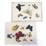 A pair of Chinese watercolours on rice paper, circa 1900, studies of butterflies and insects, 18cm x