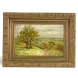 Samuel H Baker (1824 - 1909), oil on canvas laid on board, the Vale of Evesham, signed, 8" x 11.