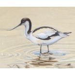 Tom Griffiths, watercolour, wading Avocet, signed and dated 1982, 10 x 16", framed
