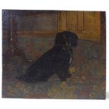 Oil on wood panel, portrait of a black Spaniel, unsigned, 13" x 15", unframed