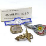 Various jewellery, including micromosaic lute brooch, memorial hair panel brooch etc