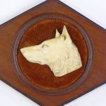A relief-carved ivory dog's head design plaque, width 14cm