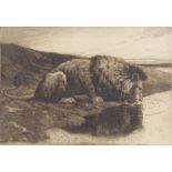 Herbert Dicksee, etching, a lion drinking, signed in the plate, plate size 7" x 10", framed