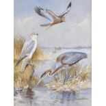 Roland Green, watercolour, birds of Cyprus, 1957, signed, 14.5" x 10", mounted