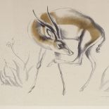John Skeaping, print, antelope, signed in pencil, 17" x 20", framed